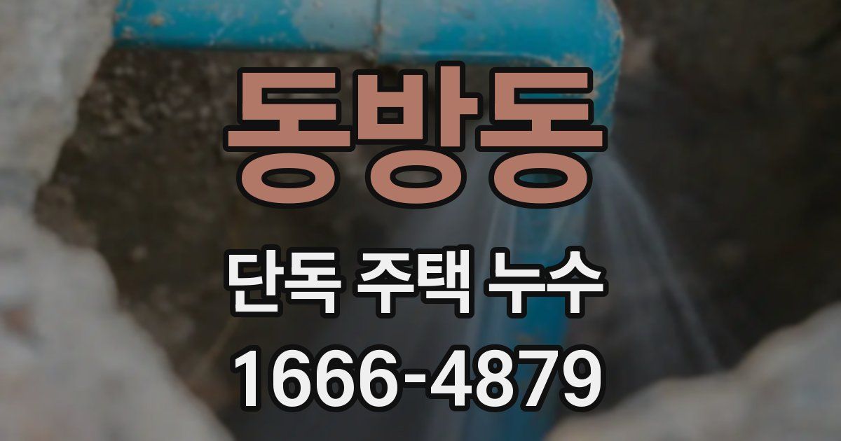 동방동 단독 주택 누수