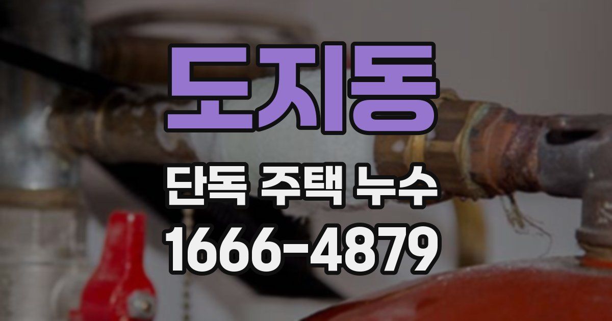 도지동 단독 주택 누수