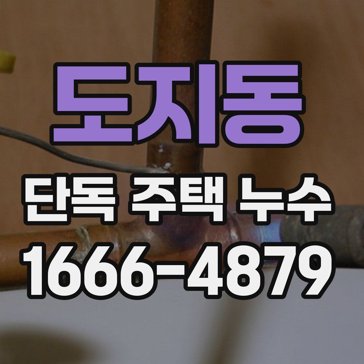 도지동 단독 주택 누수