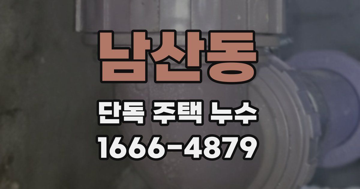 남산동 단독 주택 누수