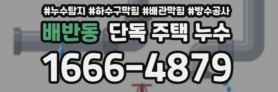 배반동 단독 주택 누수