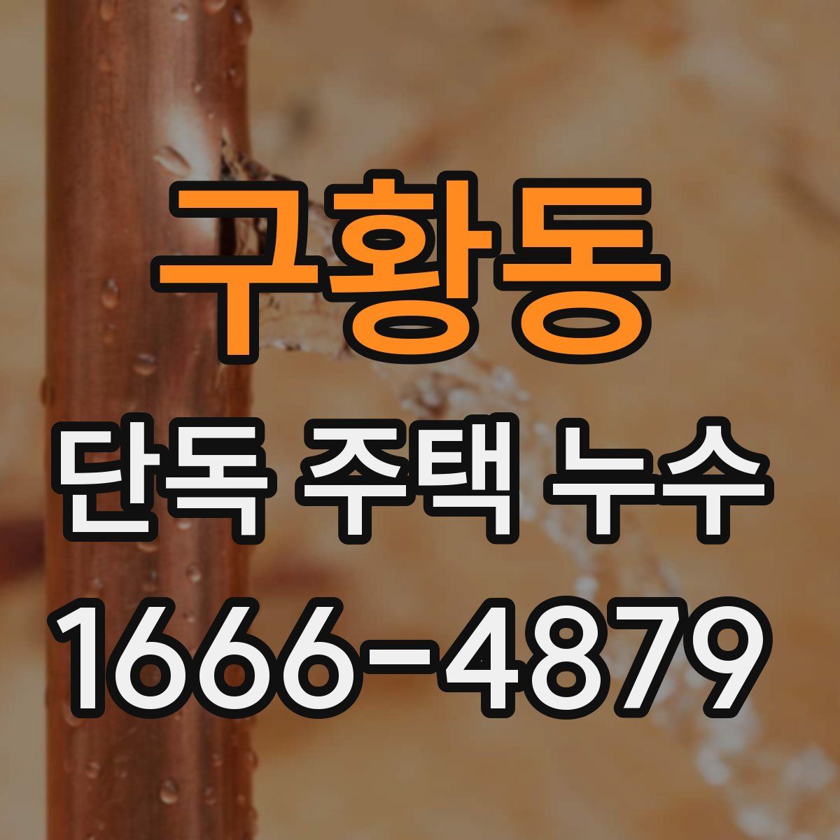 구황동 단독 주택 누수