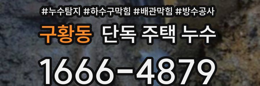 구황동 단독 주택 누수