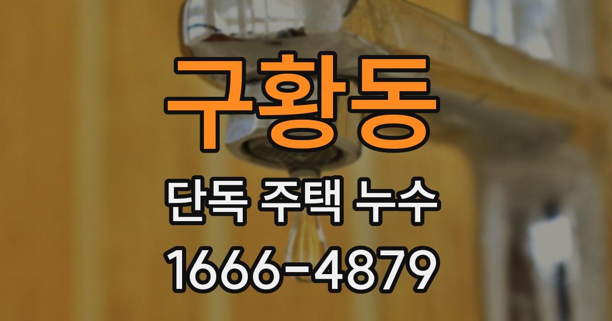 구황동 단독 주택 누수