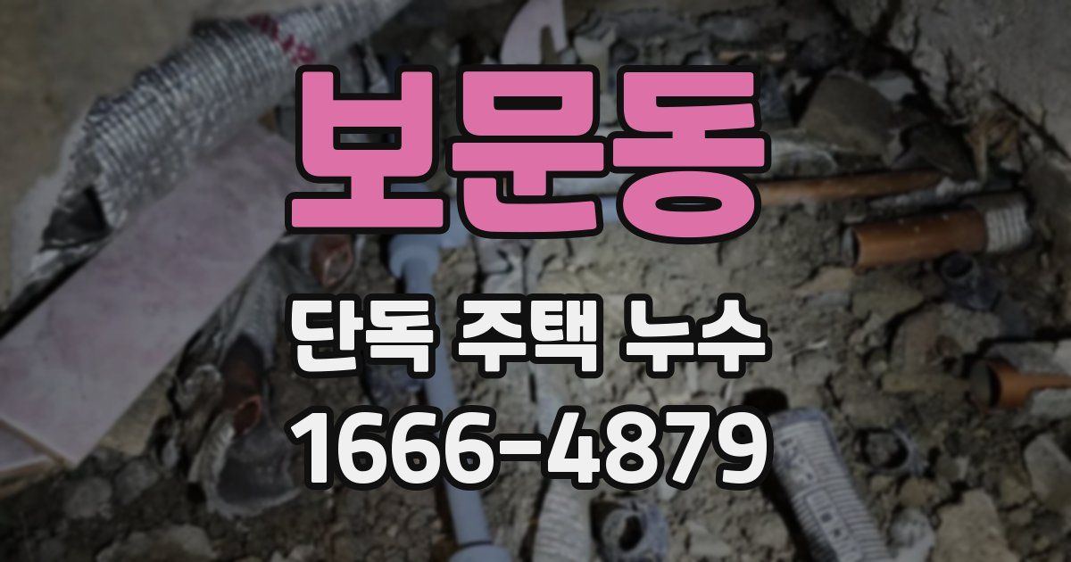 보문동 단독 주택 누수