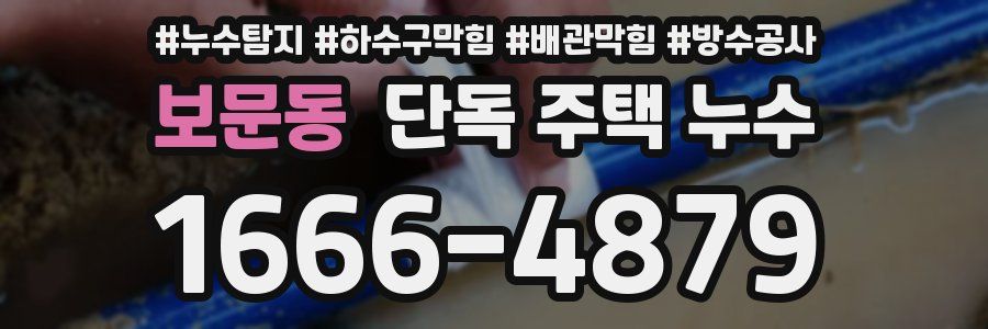 보문동 단독 주택 누수