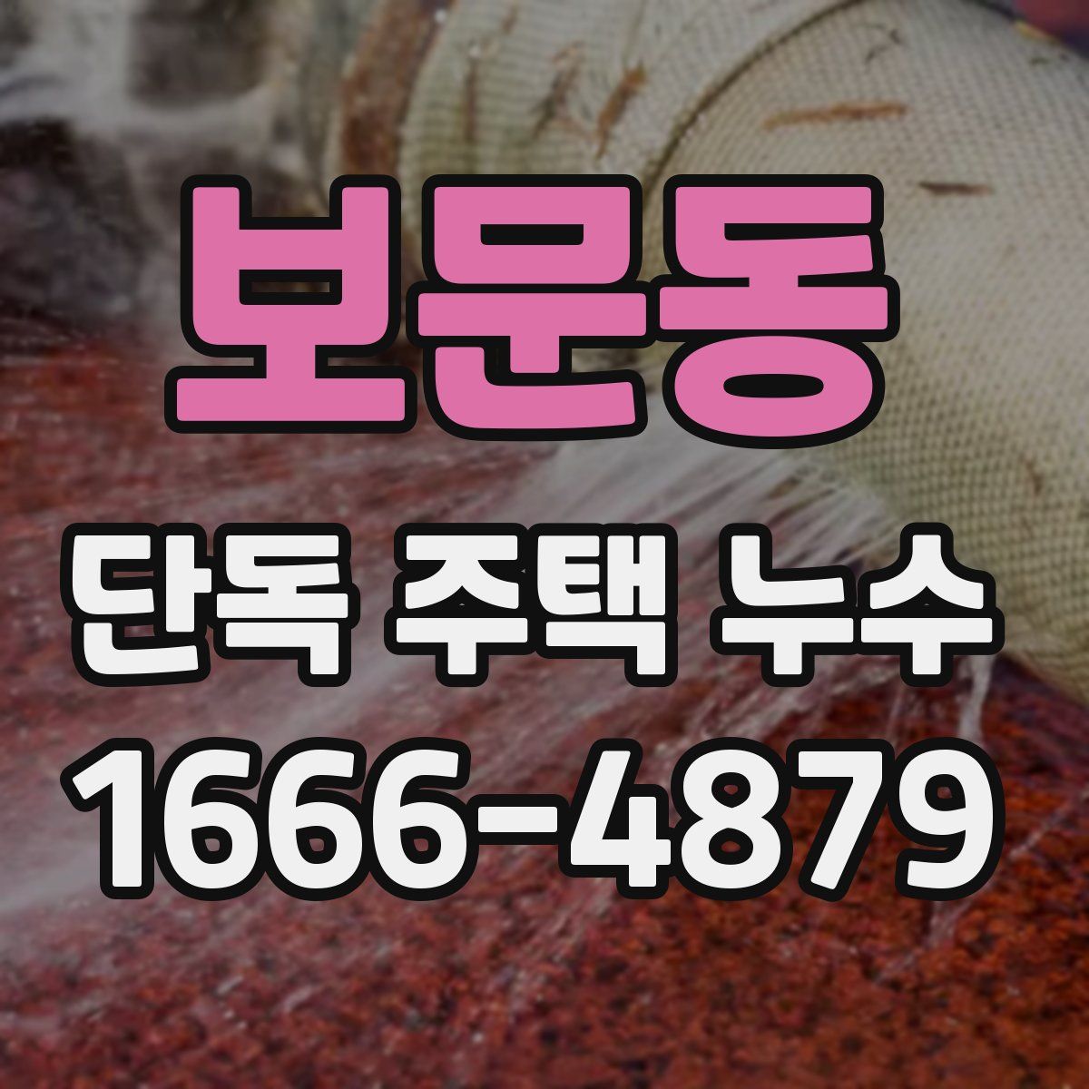 보문동 단독 주택 누수