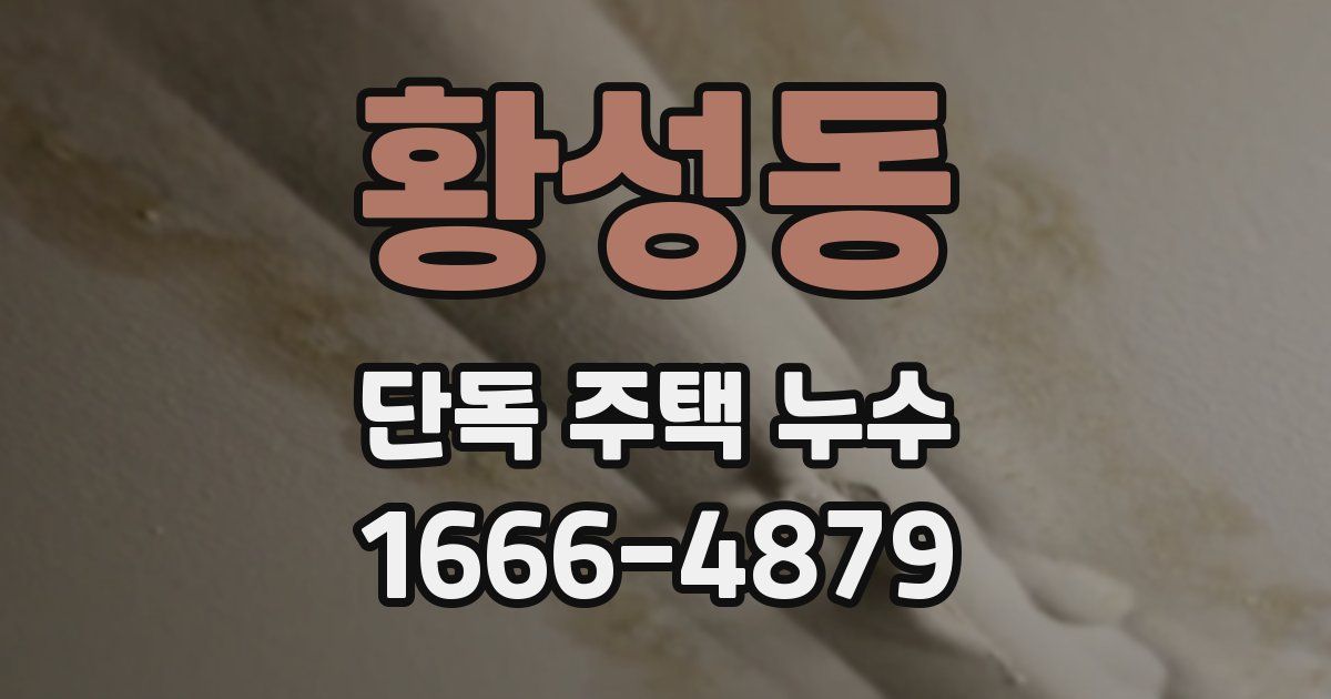 황성동 단독 주택 누수