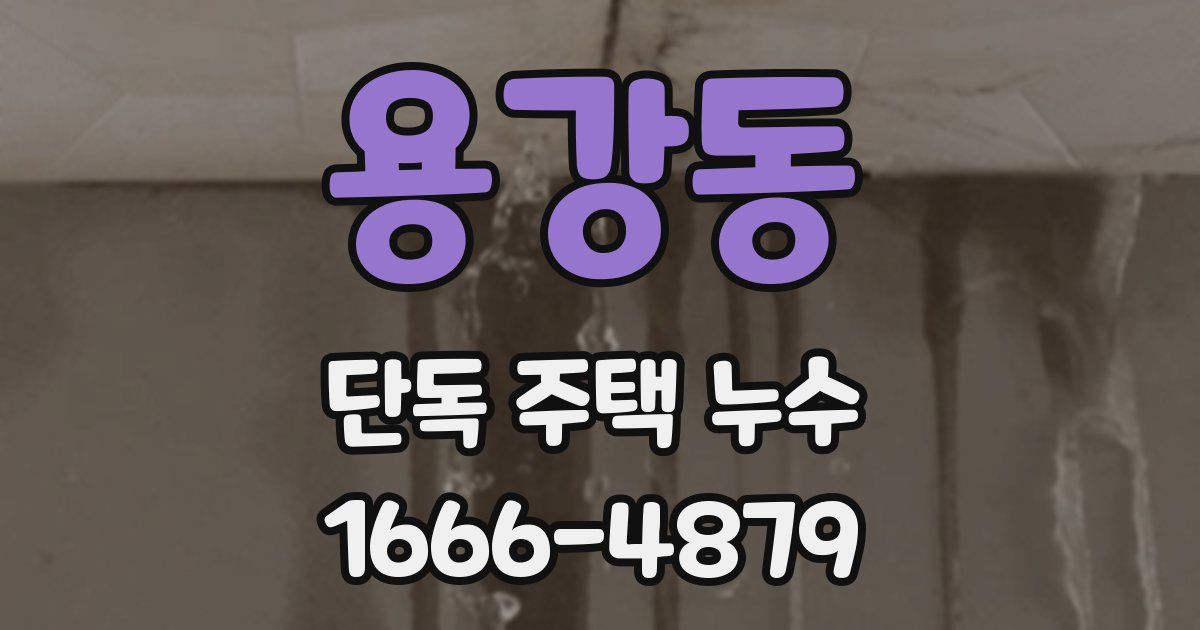 용강동 단독 주택 누수