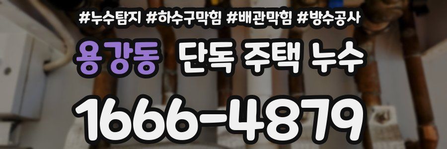 용강동 단독 주택 누수