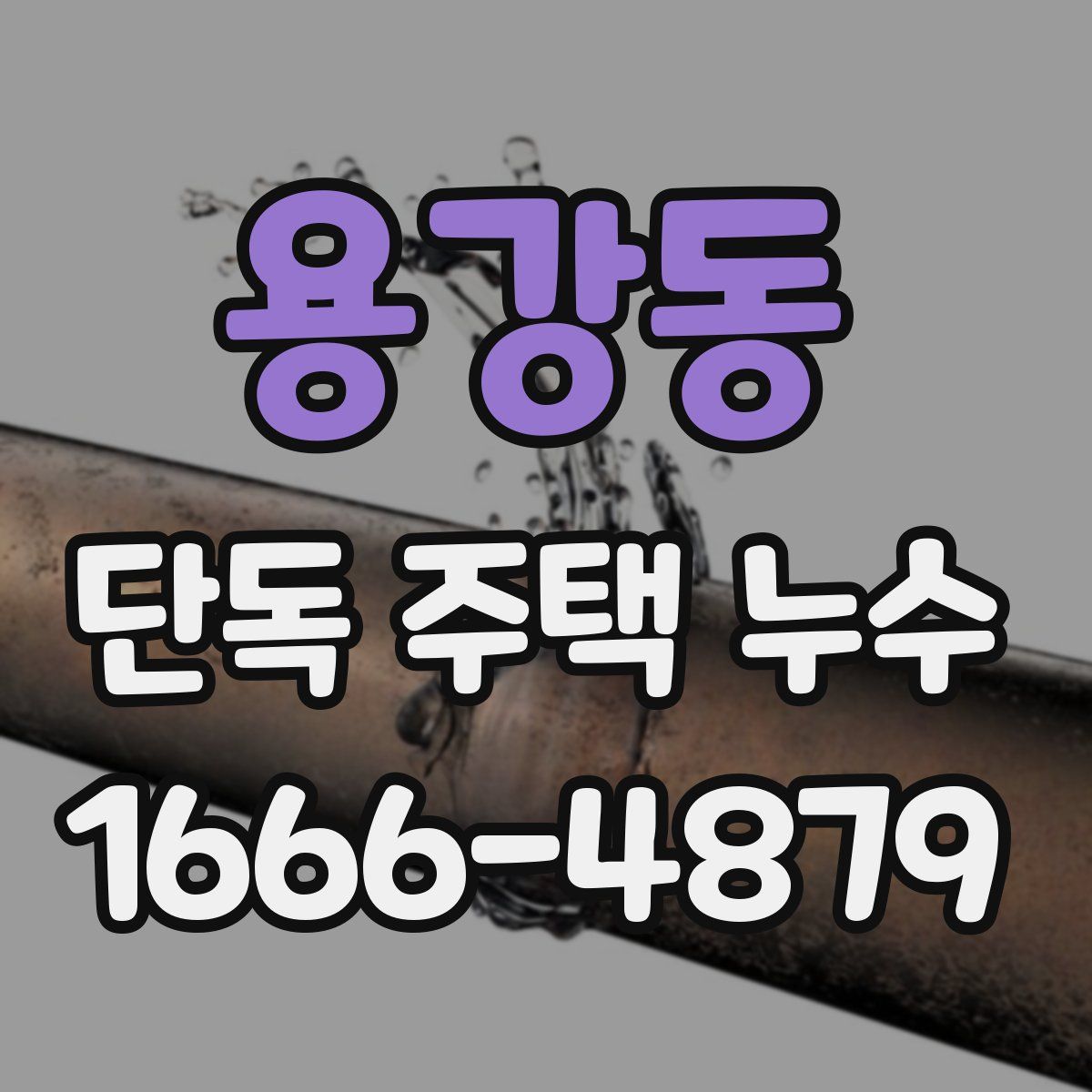 용강동 단독 주택 누수