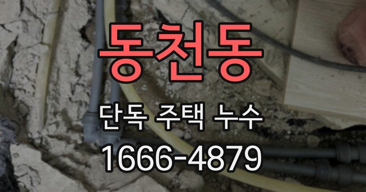 동천동 단독 주택 누수