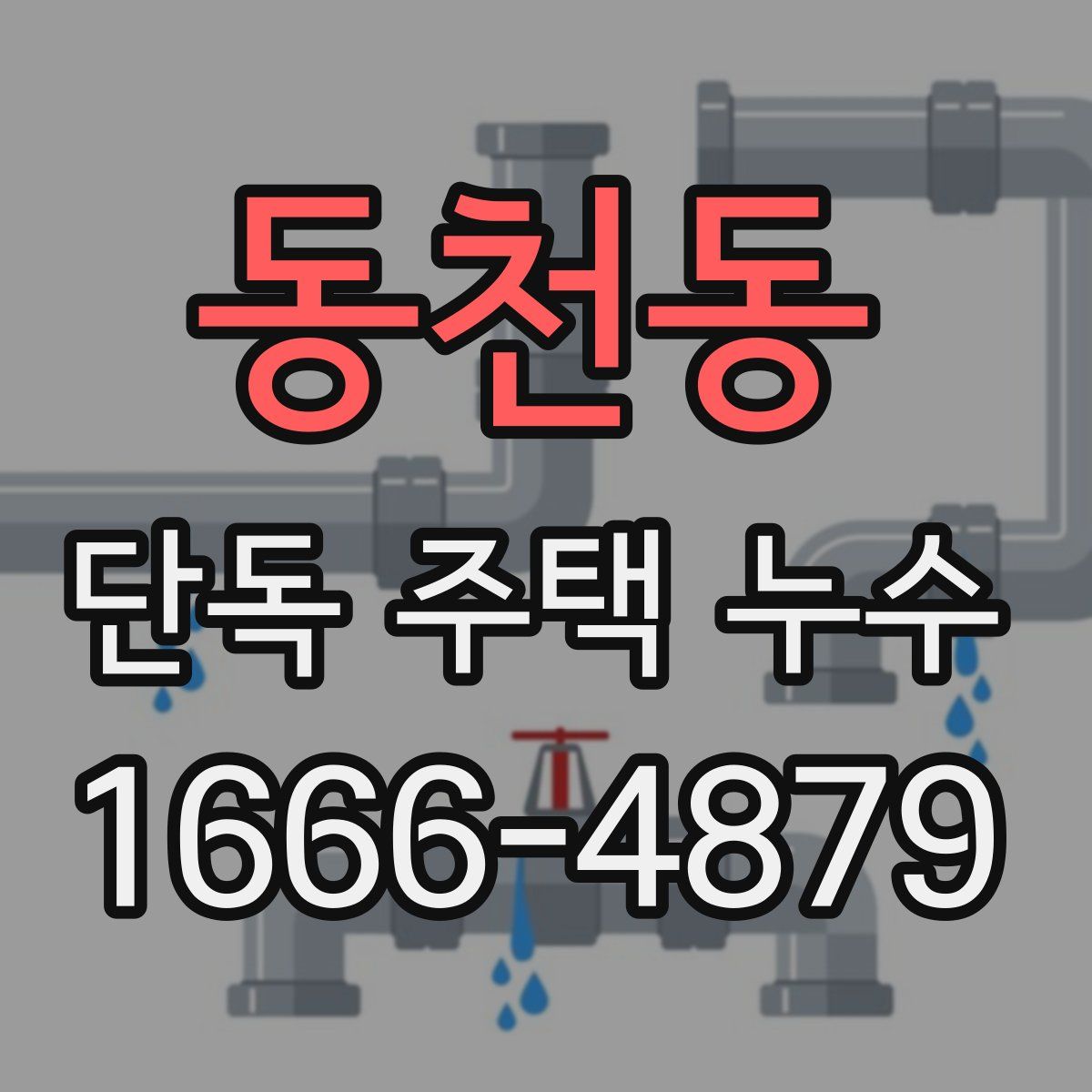 동천동 단독 주택 누수
