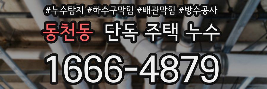 동천동 단독 주택 누수