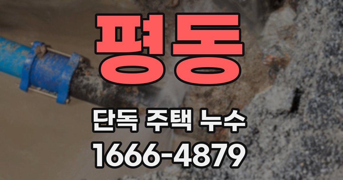 평동 단독 주택 누수
