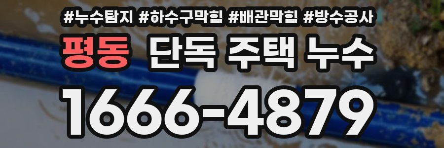 평동 단독 주택 누수