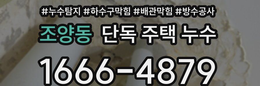 조양동 단독 주택 누수
