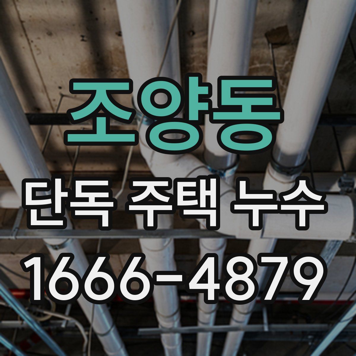 조양동 단독 주택 누수