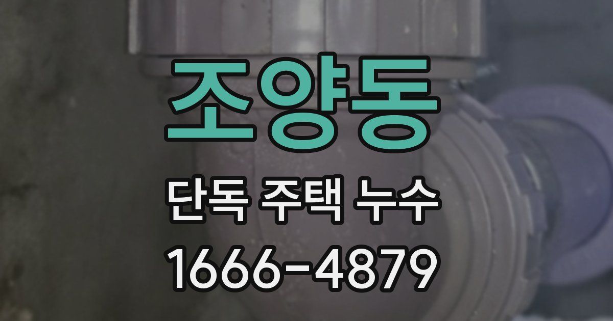 조양동 단독 주택 누수