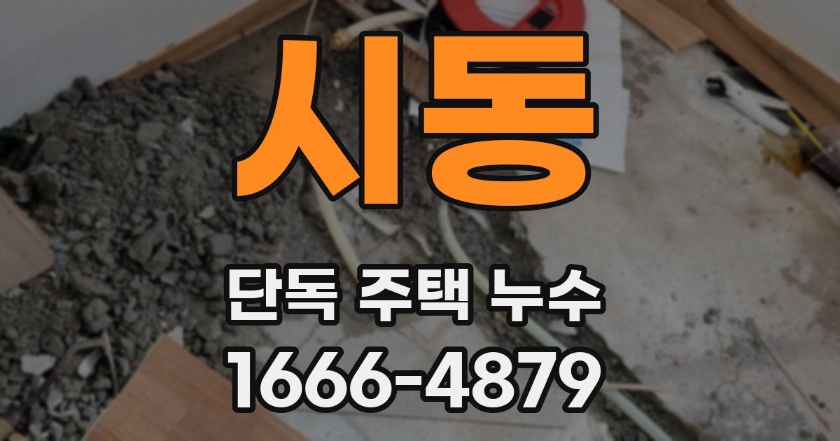 시동 단독 주택 누수