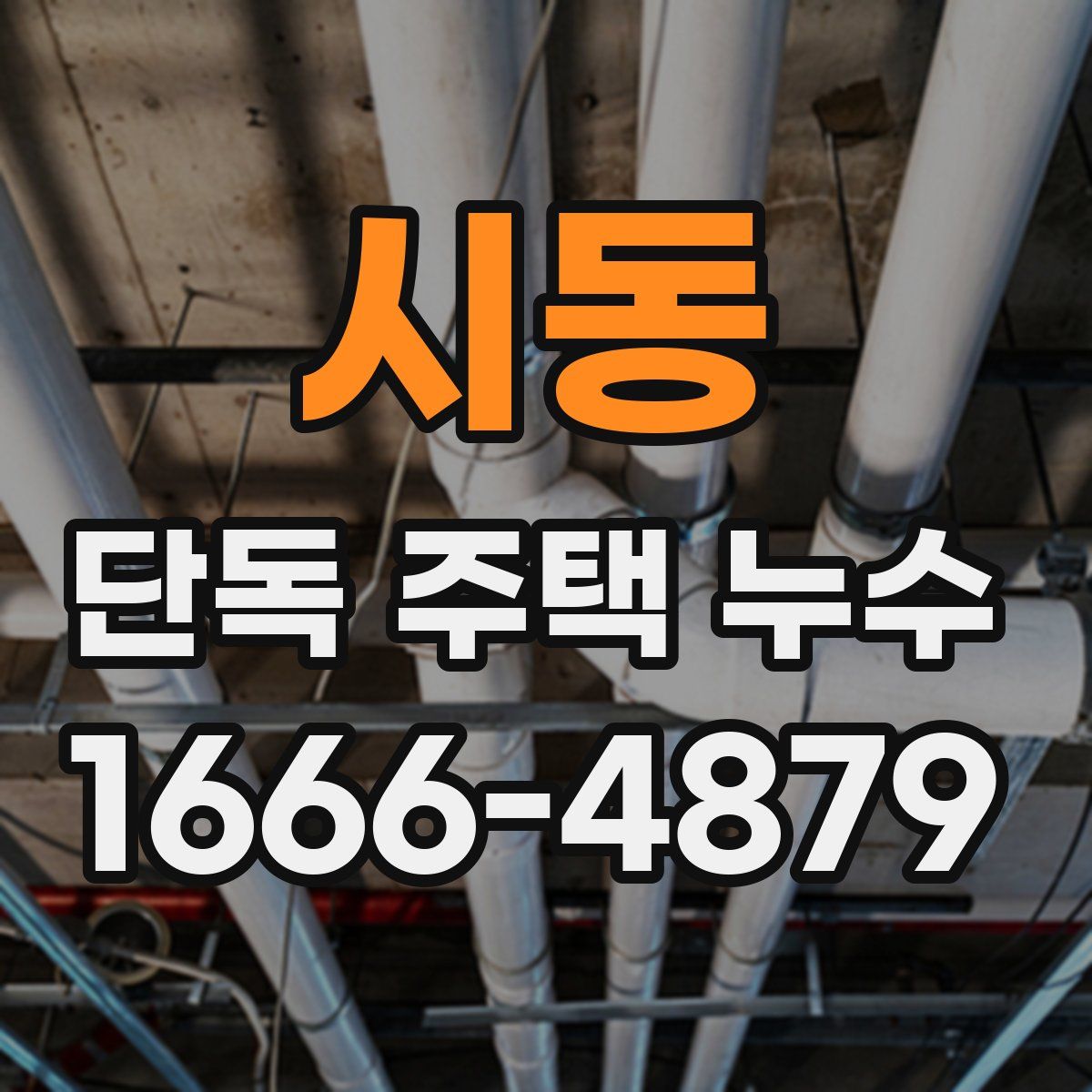 시동 단독 주택 누수