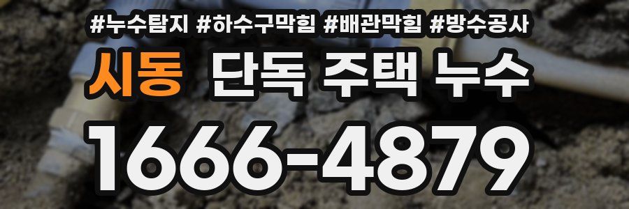 시동 단독 주택 누수
