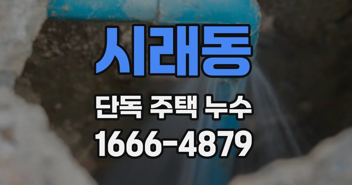 시래동 단독 주택 누수