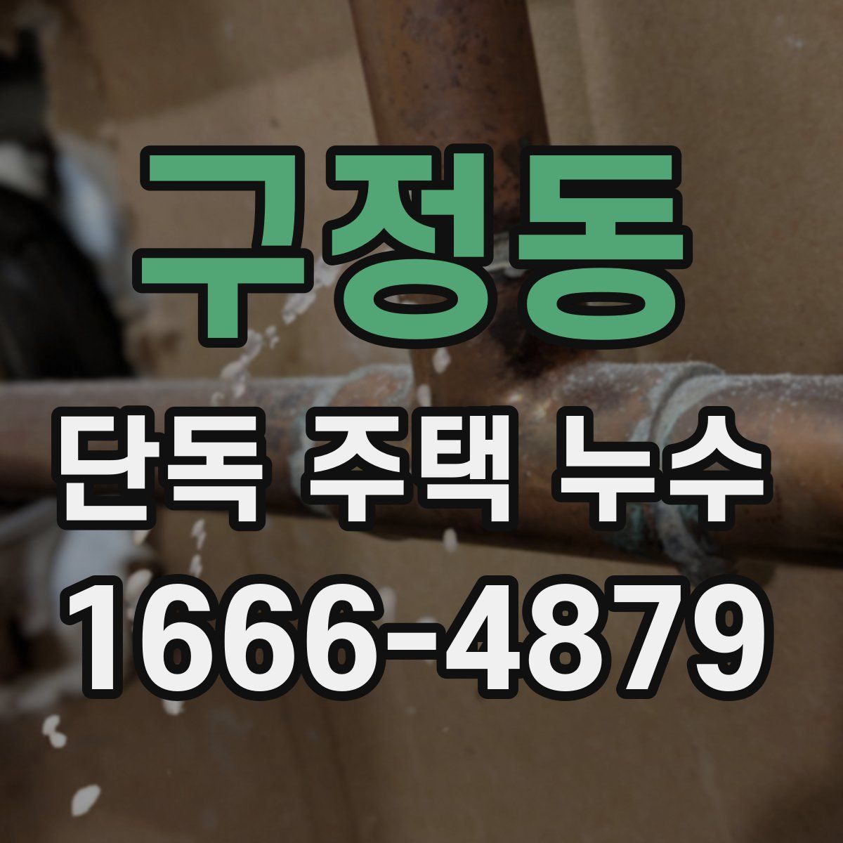 구정동 단독 주택 누수