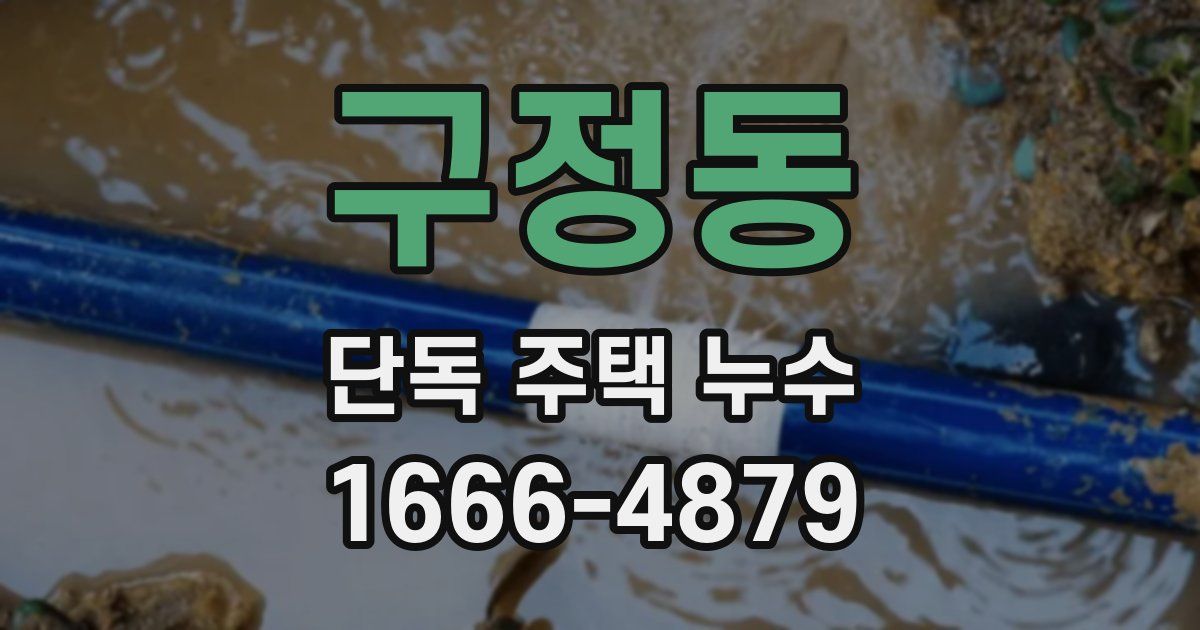 구정동 단독 주택 누수