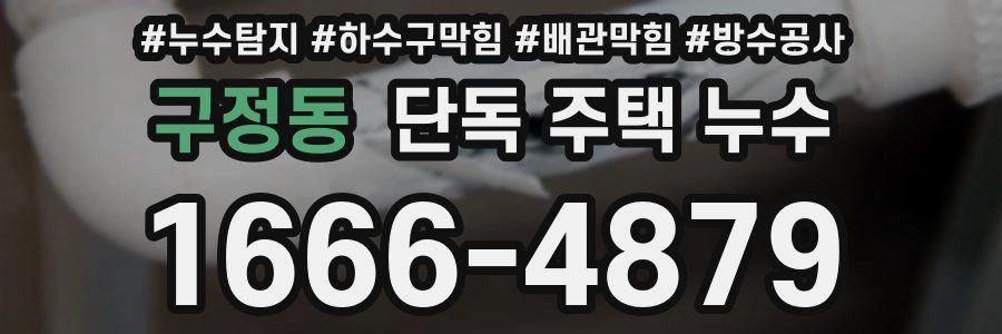구정동 단독 주택 누수