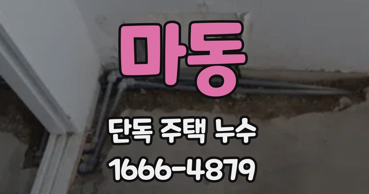 마동 단독 주택 누수