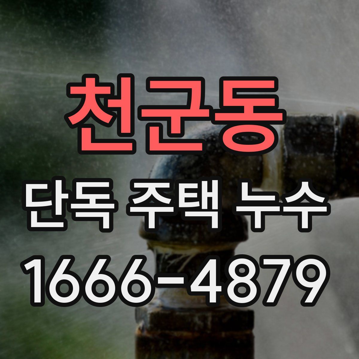 천군동 단독 주택 누수