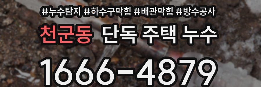 천군동 단독 주택 누수
