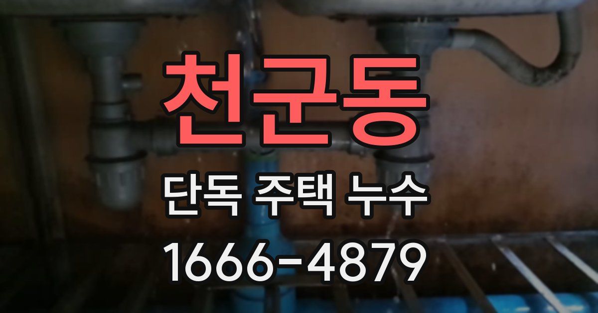 천군동 단독 주택 누수