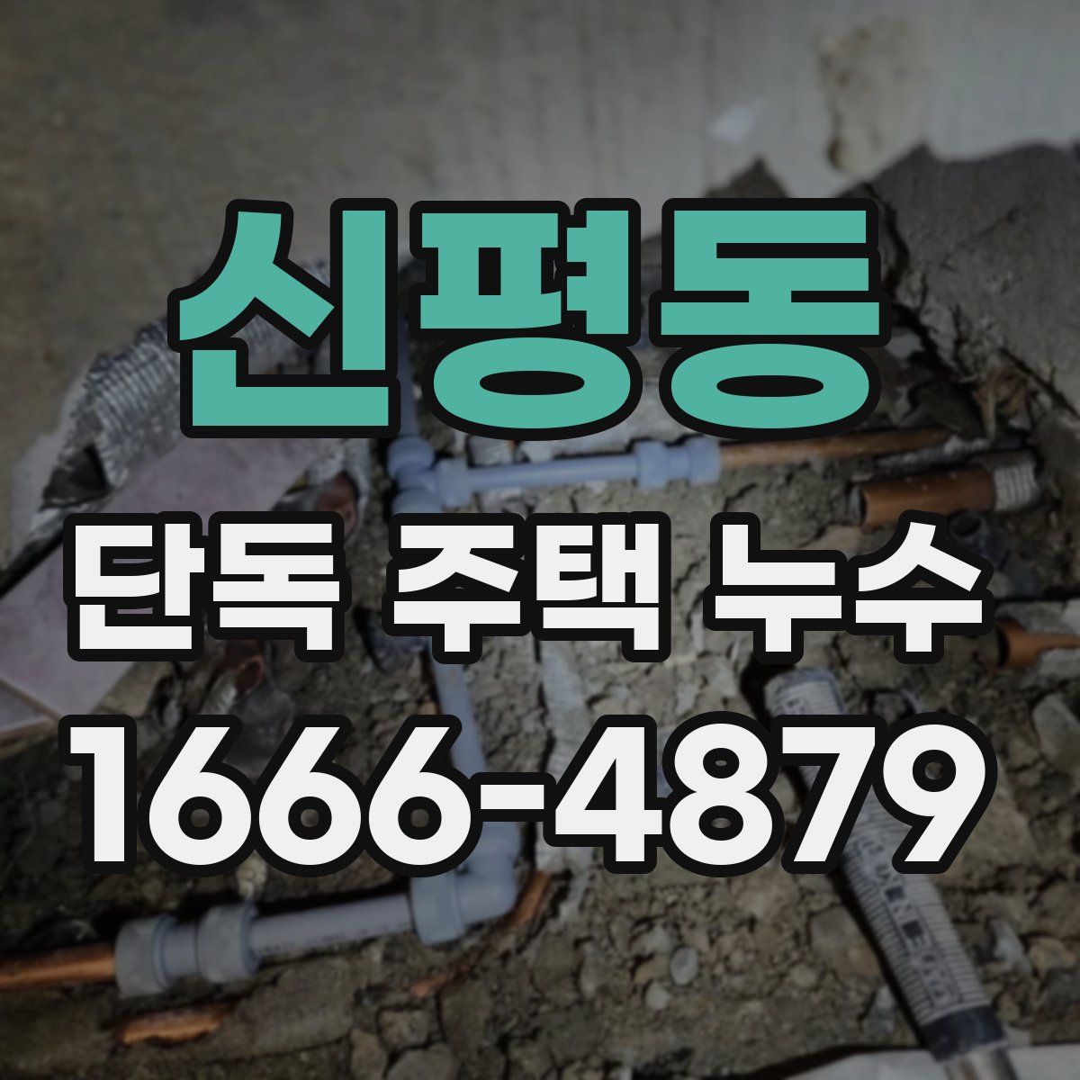 신평동 단독 주택 누수