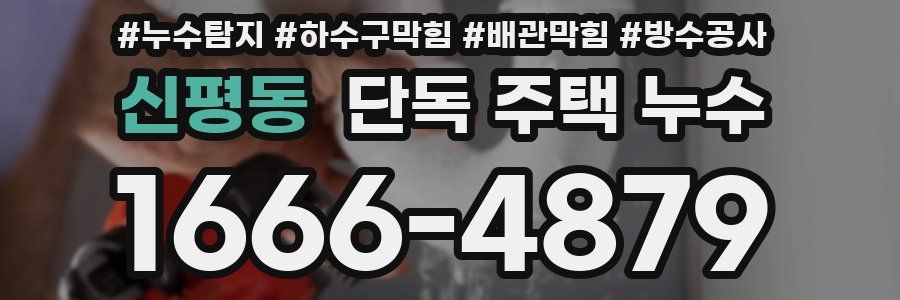 신평동 단독 주택 누수