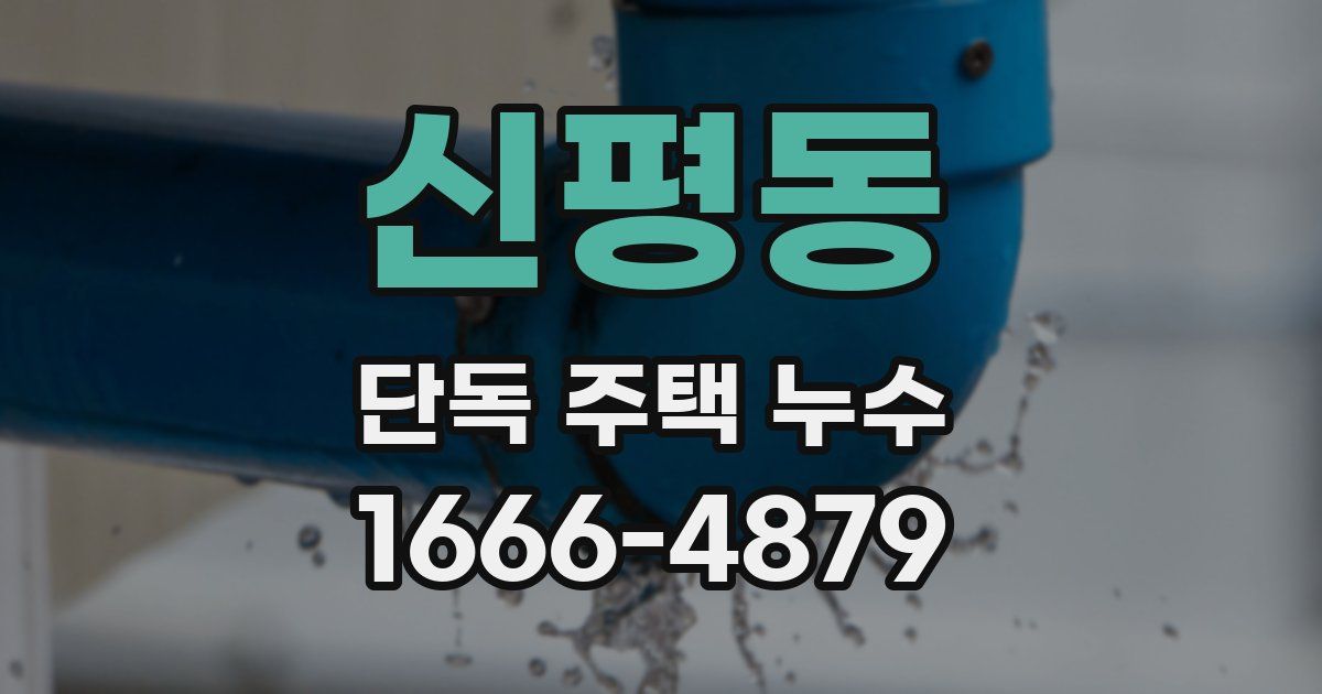 신평동 단독 주택 누수