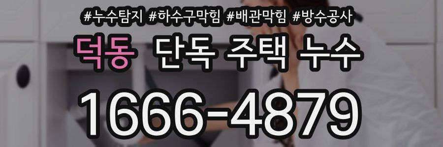 덕동 단독 주택 누수
