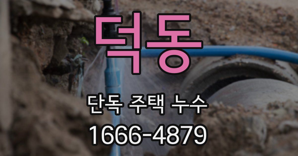 덕동 단독 주택 누수