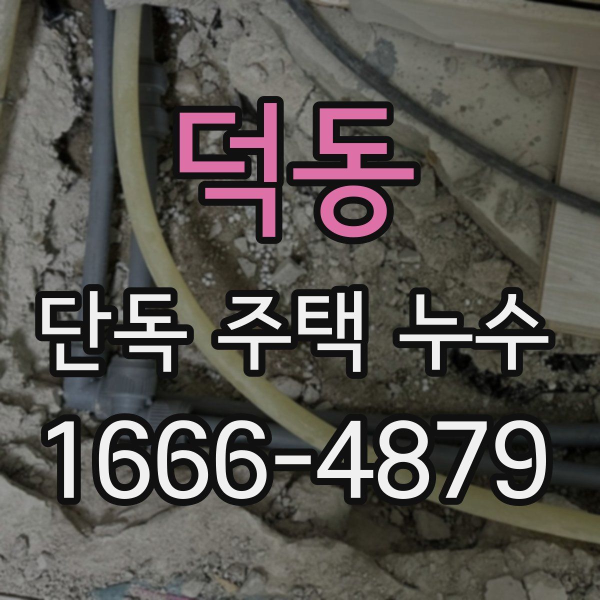 덕동 단독 주택 누수