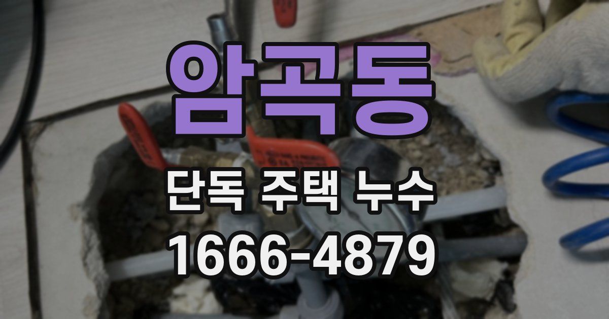 암곡동 단독 주택 누수