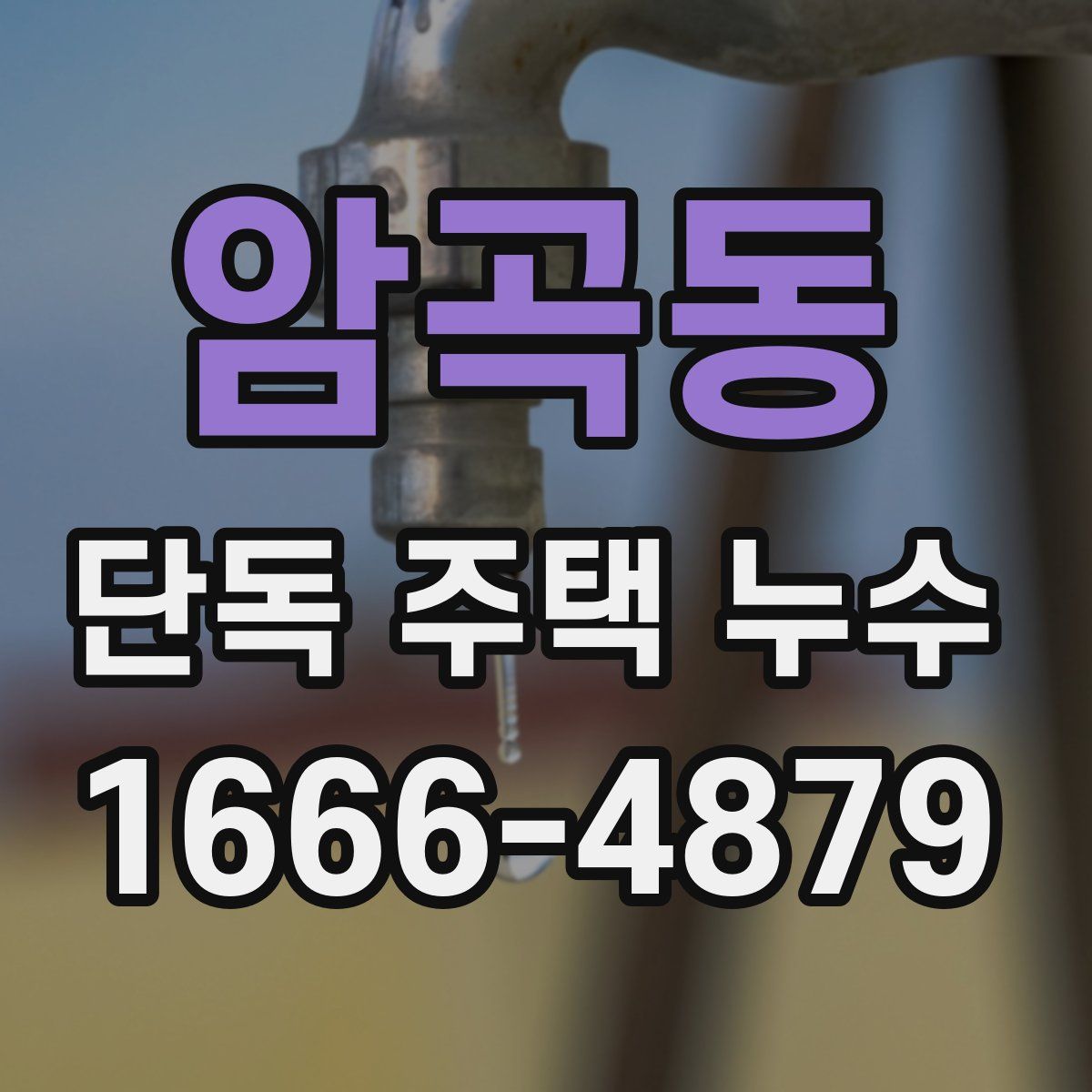 암곡동 단독 주택 누수