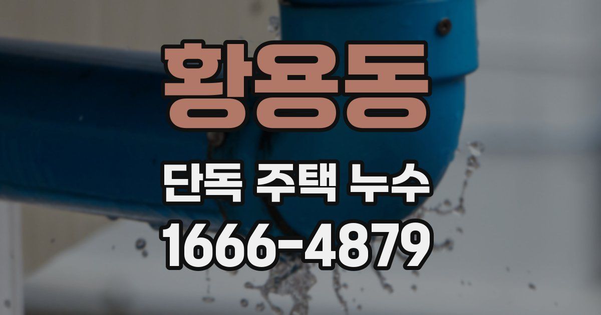 황용동 단독 주택 누수
