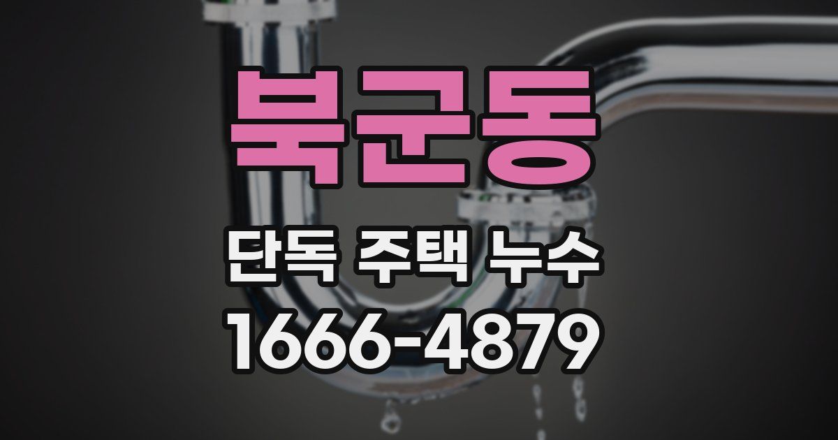 북군동 단독 주택 누수