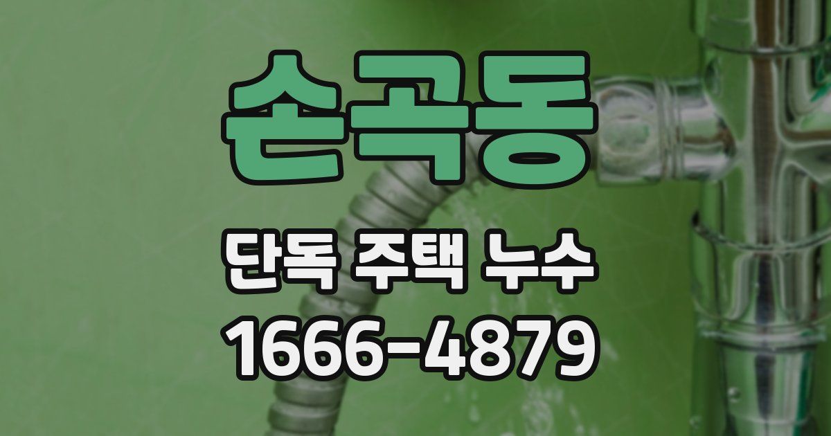 손곡동 단독 주택 누수