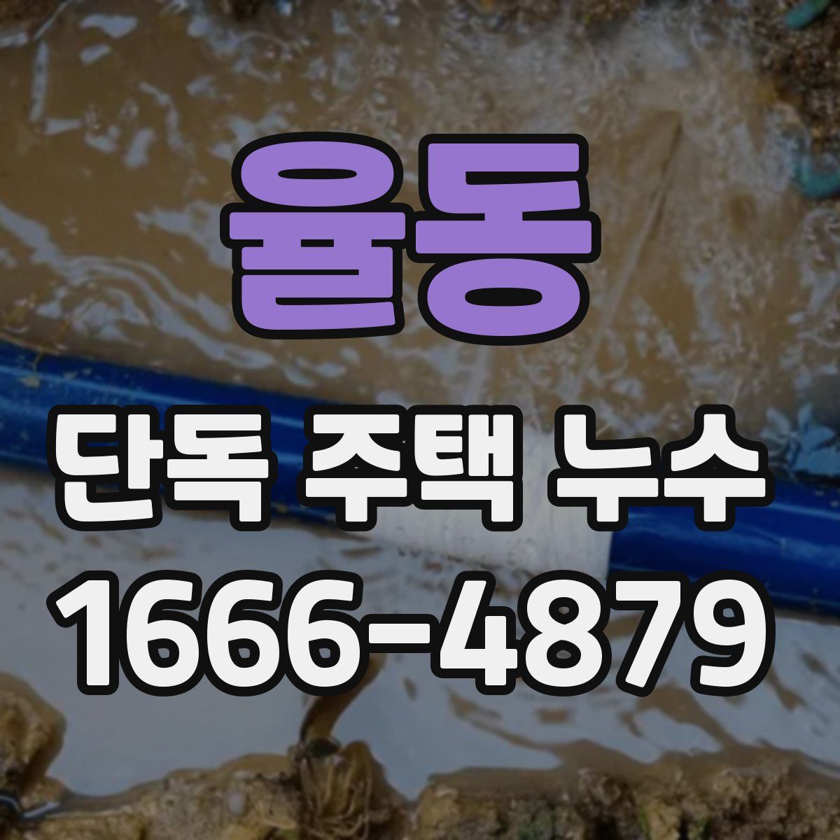 율동 단독 주택 누수