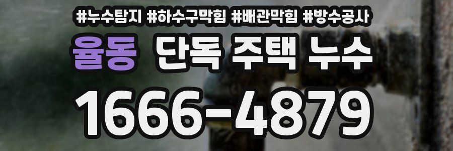 율동 단독 주택 누수