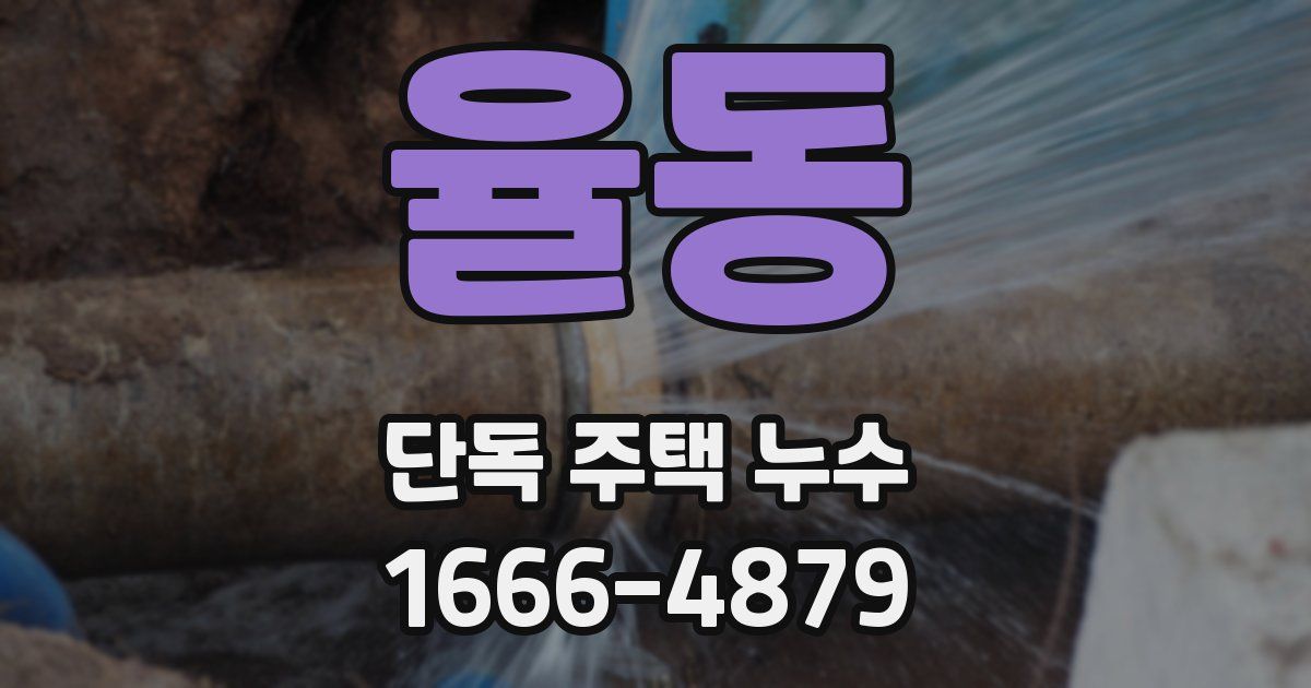 율동 단독 주택 누수
