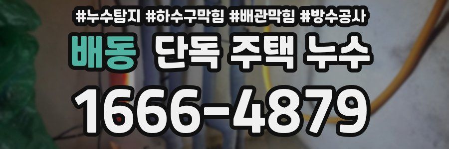 배동 단독 주택 누수
