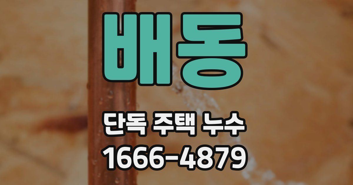 배동 단독 주택 누수